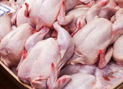 کاهش شدید قیمت مرغ به 9200 تومان