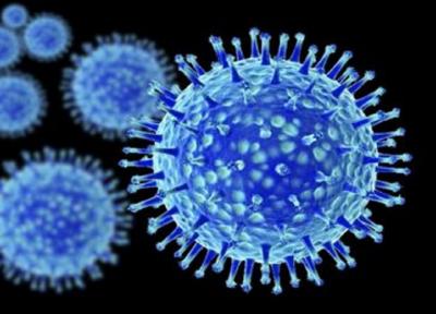 بررسی بیوانفورماتیکی دارو های موجود برای مهار ویروس کرونا